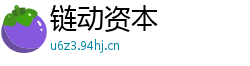 链动资本